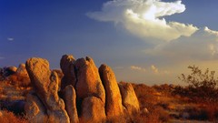 California Mojave Desert