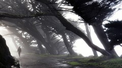 California national geographic