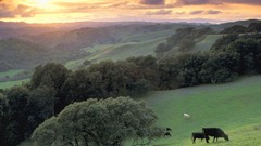 California Parks Contra