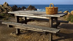 California San Francisco picnic The Pacific