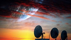 Calling digital art Lemmy Lemmy X