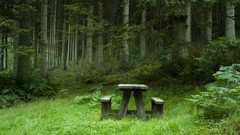 Calm bench Tables forests