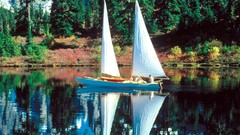 Calm Washington mount