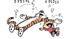 Calvin and hobbes