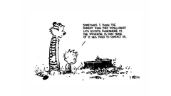 Calvin and hobbes