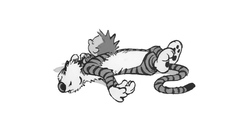 Calvin and hobbes