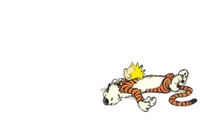 Calvin and hobbes