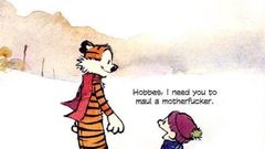 Calvin and hobbes