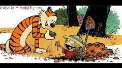 Calvin and hobbes