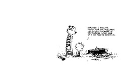 Calvin and hobbes