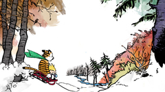 Calvin and hobbes