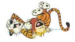 Calvin and Hobbes