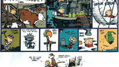 Calvin and hobbes Bill