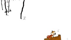 Calvin and Hobbes cartoon