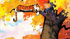 Calvin and Hobbes cartoon