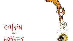 Calvin and hobbes cartoons