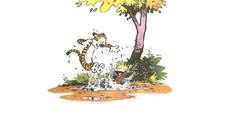 Calvin calvin and hobbes
