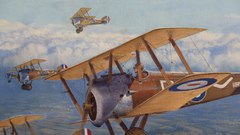 Camel close Up Canadian