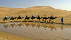 Camel reflections desert sand