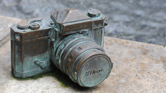 Cameras Nikon