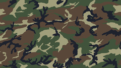 Camouflage