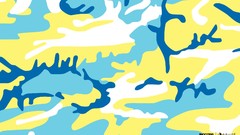 Camouflage Andy Warhol Incase