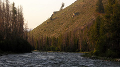 Camping salmon river again