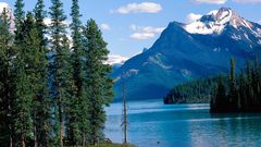 Canada alberta national park