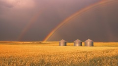 Canada alberta rainbows
