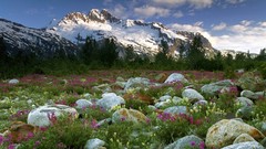 Canada British Columbia rivers rock garden