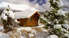 Canada logs British Columbia cabin mount