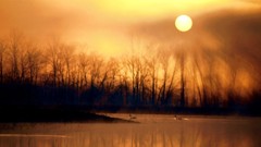 Canada quebec wildlife