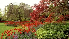 Canada vancouver British Columbia Parks queen