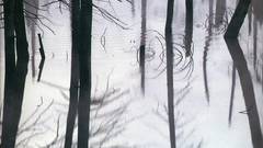 Canadian Photographers high