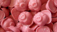 Candies food sweets (candies)