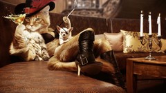 Candles funny boots fireplaces