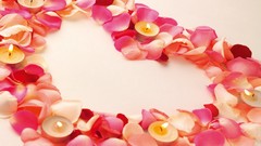 Candles Hearts flower petals tealight