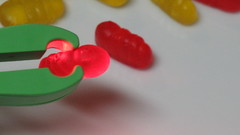 Candy bugs red yellow