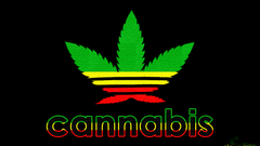 Cannabis Superstar II by