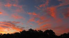 Canon point amp shoot