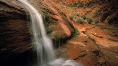 Canyon Arizona National
