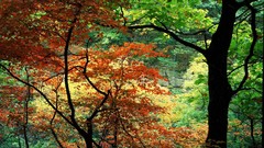 Canyon rocks Parks illinois