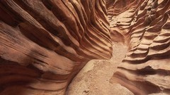 Canyon Utah wildlife rock formations