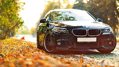 Car BMW fall vehicle black cars leaves bright depth of field