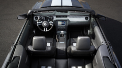 Car interiors Ford Shelby