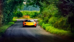 Car Lamborghini lamborghini murcielago yellow cars road asphalt