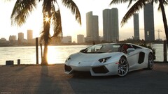 Car Lamborghini palm trees cityscape sunlight vehicle