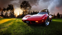 Car red cars Trees vehicle