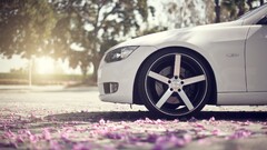 Car white cars depth of field petals sunlight BMW 3 Series BMW