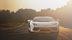 Car white cars sunlight road vehicle Lamborghini